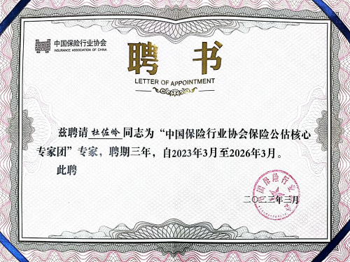 保险公估核心专家团专家聘书