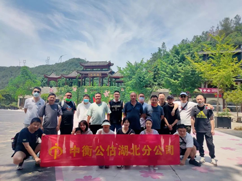 澳门挂牌之全篇