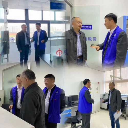 澳门挂牌之全篇