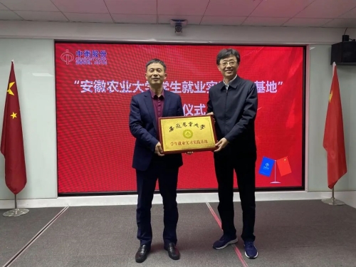 澳门挂牌之全篇