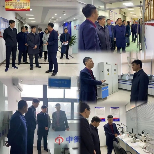 澳门挂牌之全篇