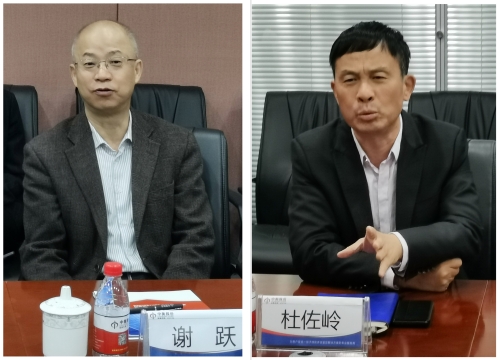 澳门挂牌之全篇