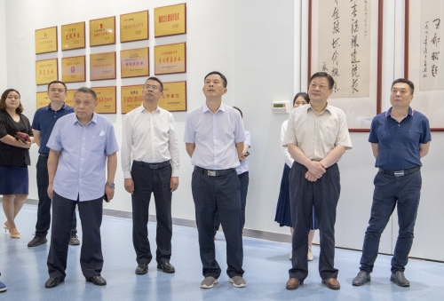 澳门挂牌之全篇
