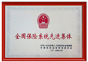 全国保险系统